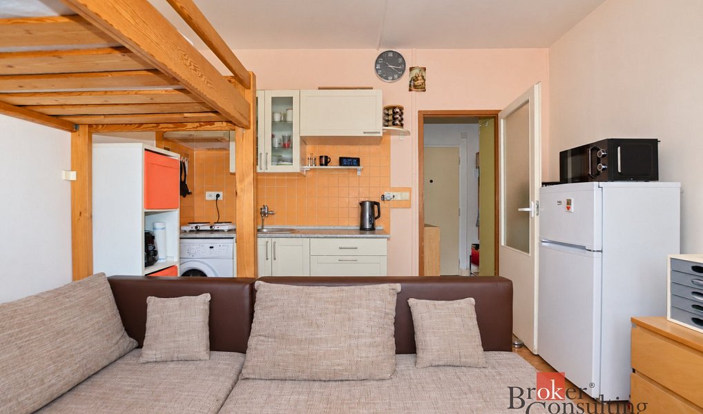 Pronájem bytu 1+kk, 20 m², Doubravka - Plzeň-město, Plzeň