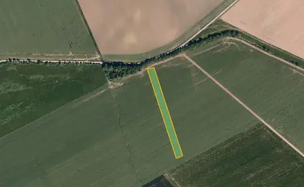 Prodej pole 5 998 m², Dřevohostice, okres Přerov
