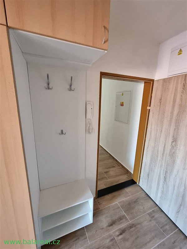 Pronájem bytu 1+kk 29 m² — photo 3