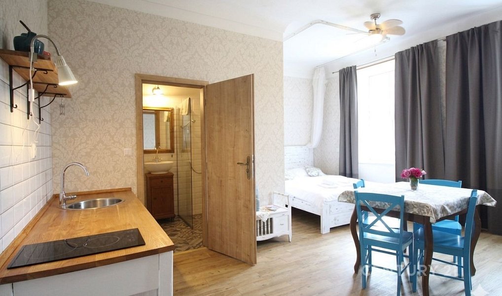 Prodej ubytovacího objektu 350 m², Červená Voda – náhled fotky 10