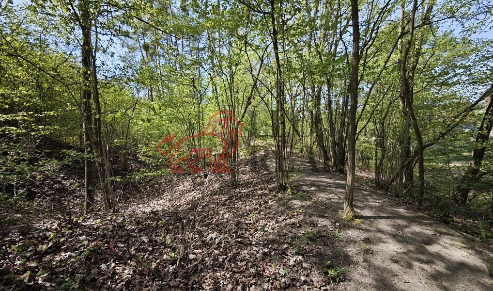 Prodej domu 117 m² s pozemkem 4 460 m², Liběchov – náhled fotky 21