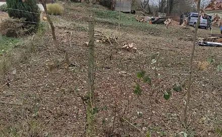 Prodej stavebního pozemku 425 m²