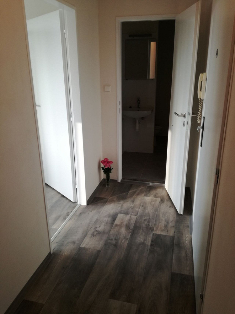 Pronájem bytu 2+1 44 m² – fotografie 4