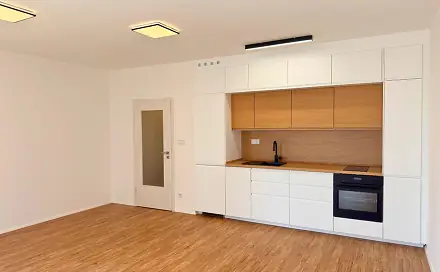 Pronájem bytu 1+kk 39 m², Železná, Plzeň - Jižní Předměstí