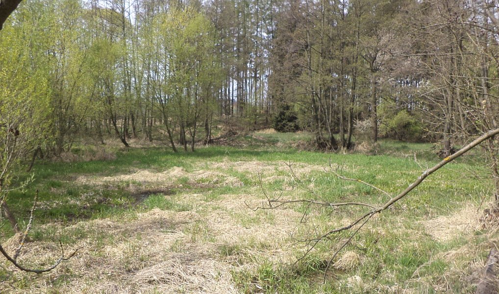 Prodej pole 8 388 m², Mezno – náhled fotky 4