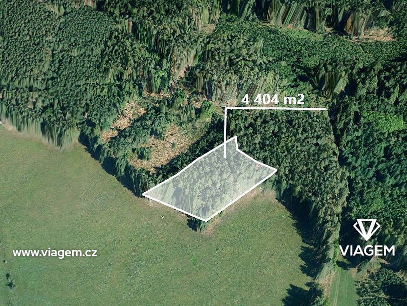 Prodej lesa 978 m²