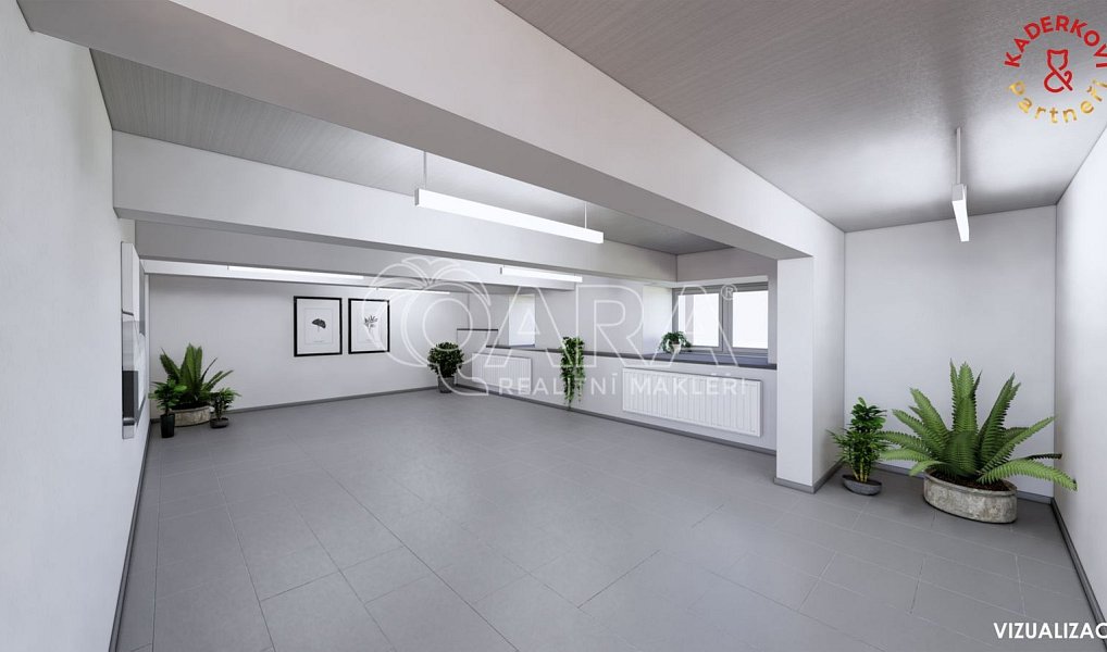 Prodej obchodních prostor 326 m², Brno – náhled fotky 28