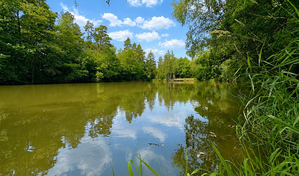 Prodej vodní plochy 25 771 m², Dačice – náhled fotky 5