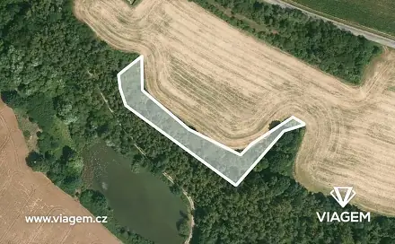 Prodej lesa 1 683 m², Dobříč, okres Plzeň-sever