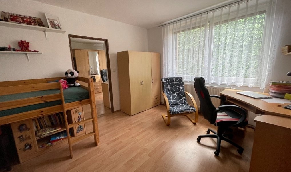Prodej domu 177 m² s pozemkem 379 m², Nové Syrovice – náhled fotky 19