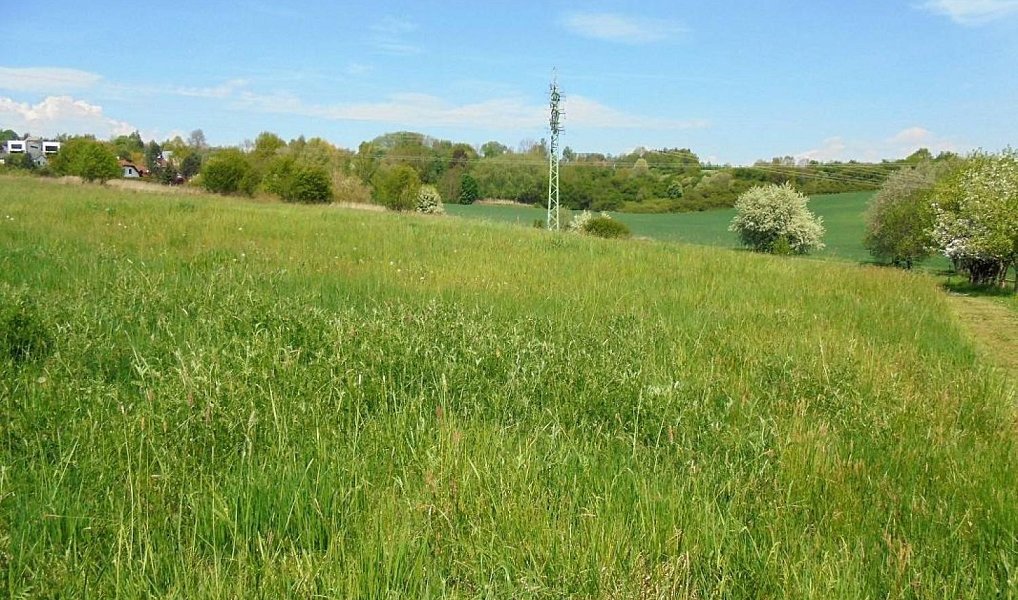 Prodej stavebního pozemku 2 187 m², Turnov – náhled fotky 8