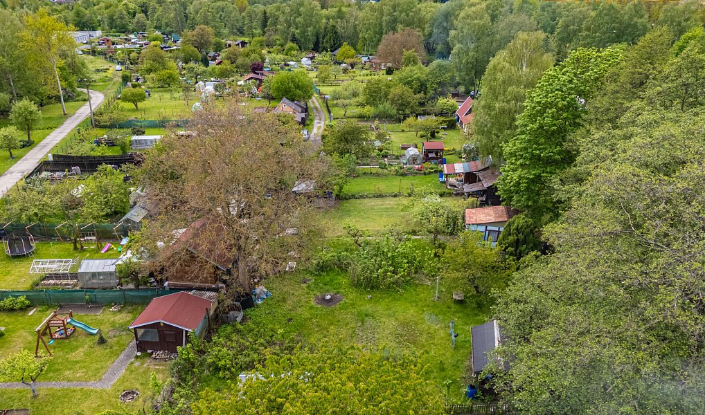 Prodej zahrady 450 m², Sokolov – náhled fotky 25