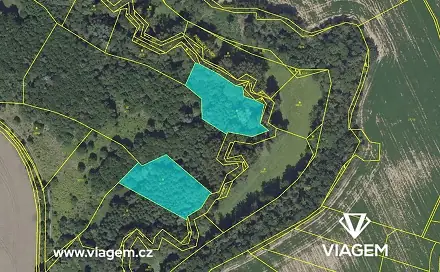 Prodej lesa 5 555 m², Praha