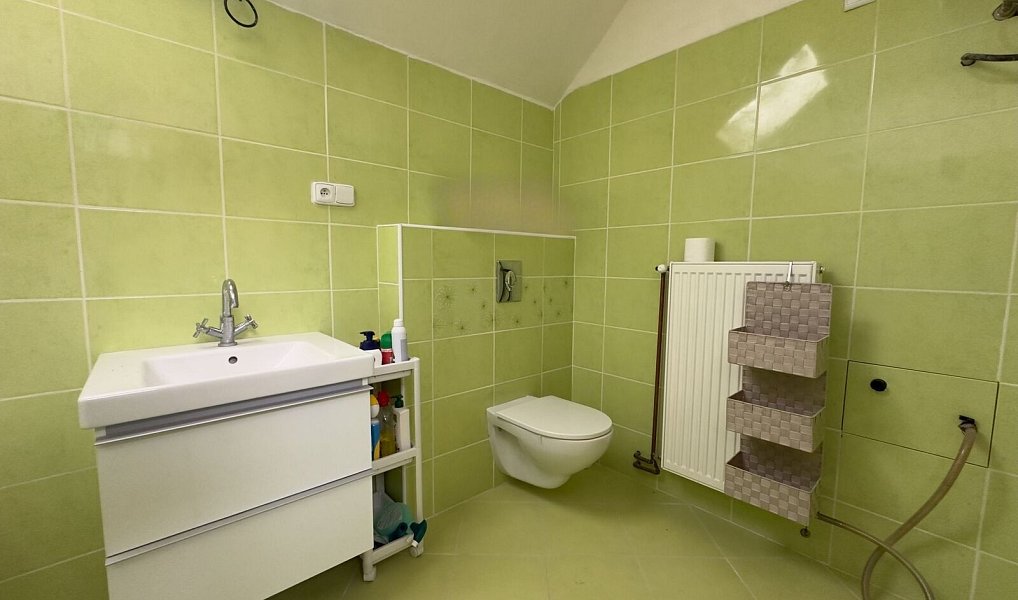 Prodej domu 165 m² s pozemkem 604 m², Lošany – náhled fotky 15