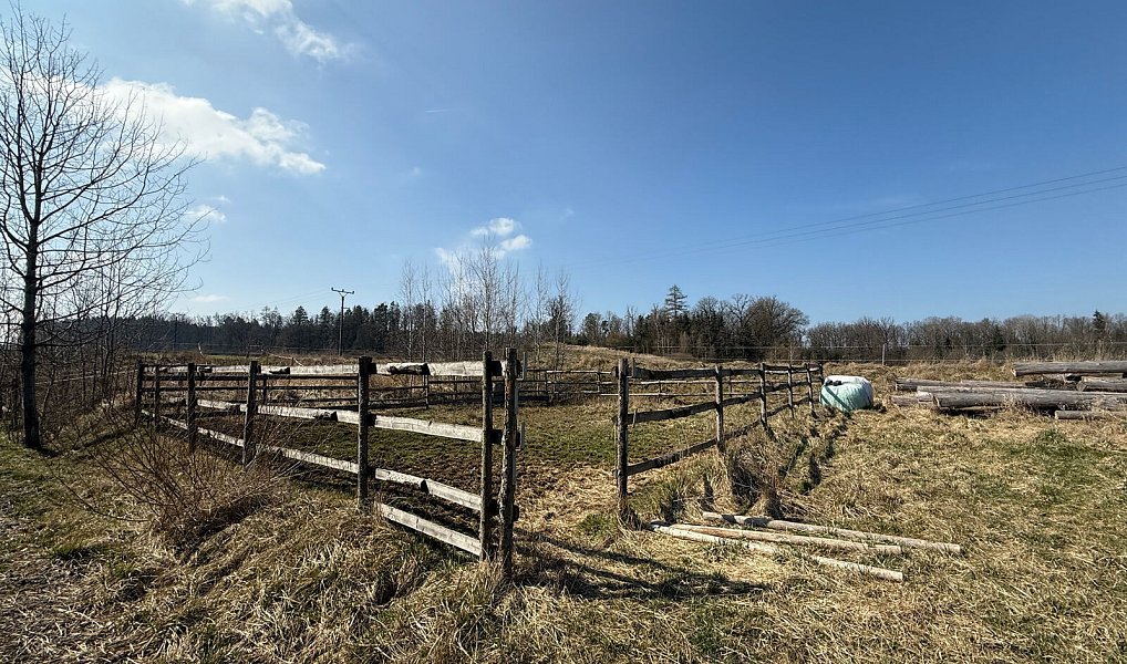 Prodej zemědělského objektu 1 300 m², Spálené Poříčí – náhled fotky 17