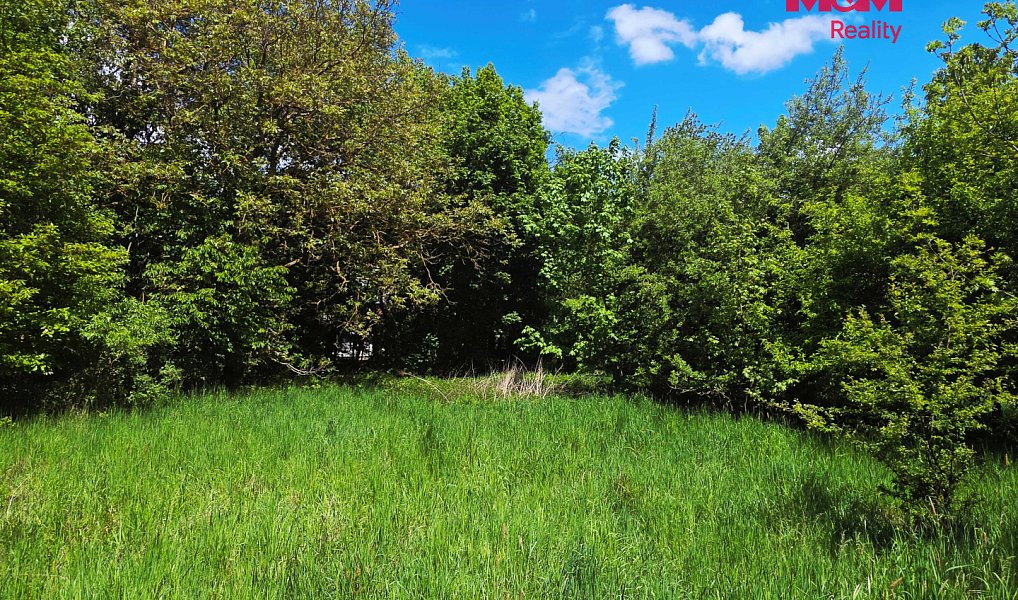 Prodej stavebního pozemku 1 115 m², Bor – náhled fotky 5