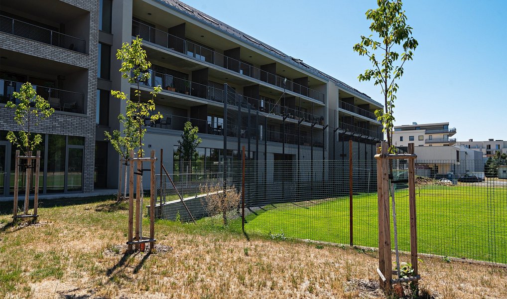 Prodej bytu 4+kk 104 m², Plzeň – náhled fotky 23