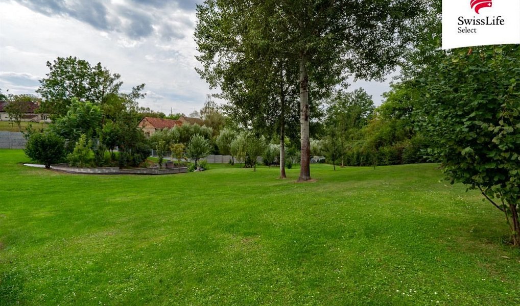 Prodej stavebního pozemku 4 611 m², Krňany – náhled fotky 4