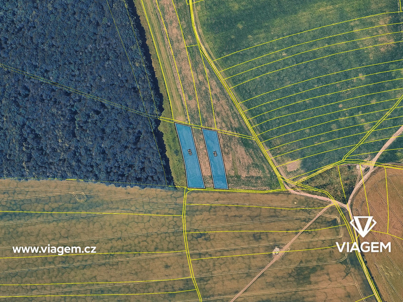 Prodej pole 565 m² – fotografie 4