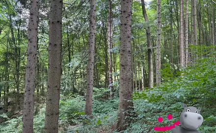Prodej lesa 9 556 m², Zlín - Klečůvka