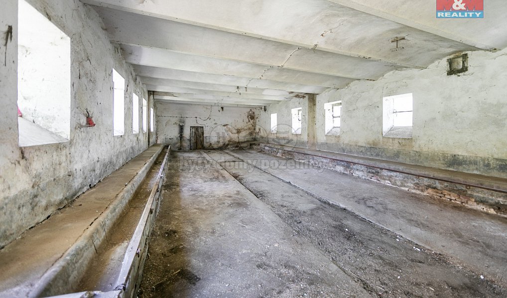 Prodej zemědělského objektu 1 446 m², Mrákov – náhled fotky 16