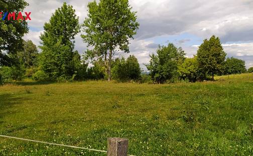 Prodej stavebního pozemku 7 880 m², Mladějov na Moravě, okres Svitavy