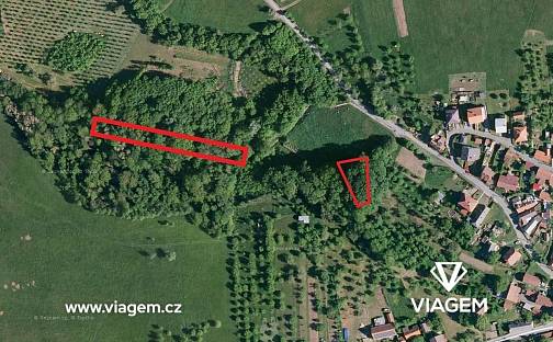 Prodej lesa 2 756 m², Velký Ořechov, okres Zlín
