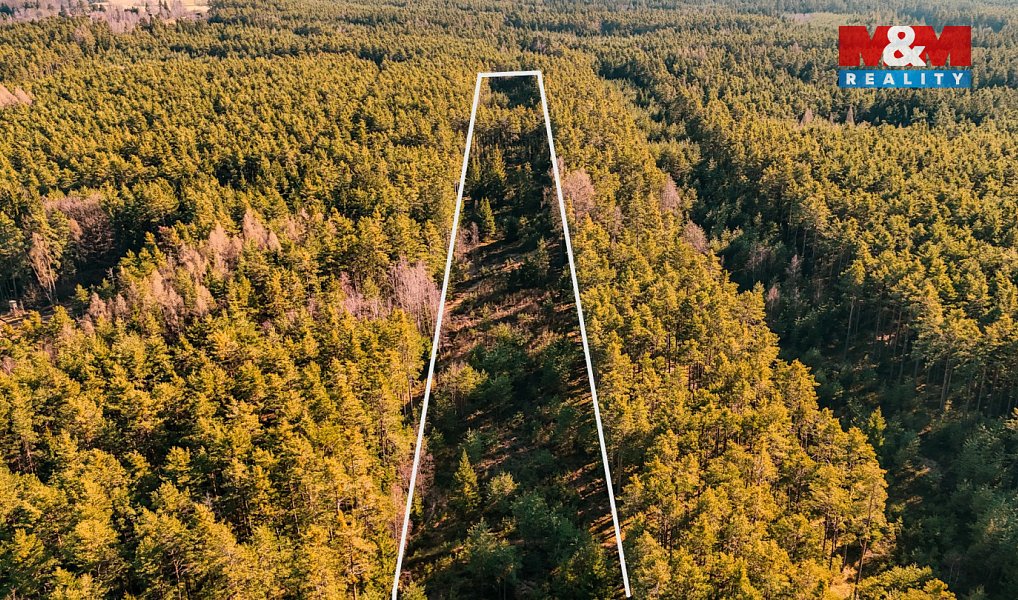 Prodej lesa 18 382 m², Olešnice – náhled fotky 3