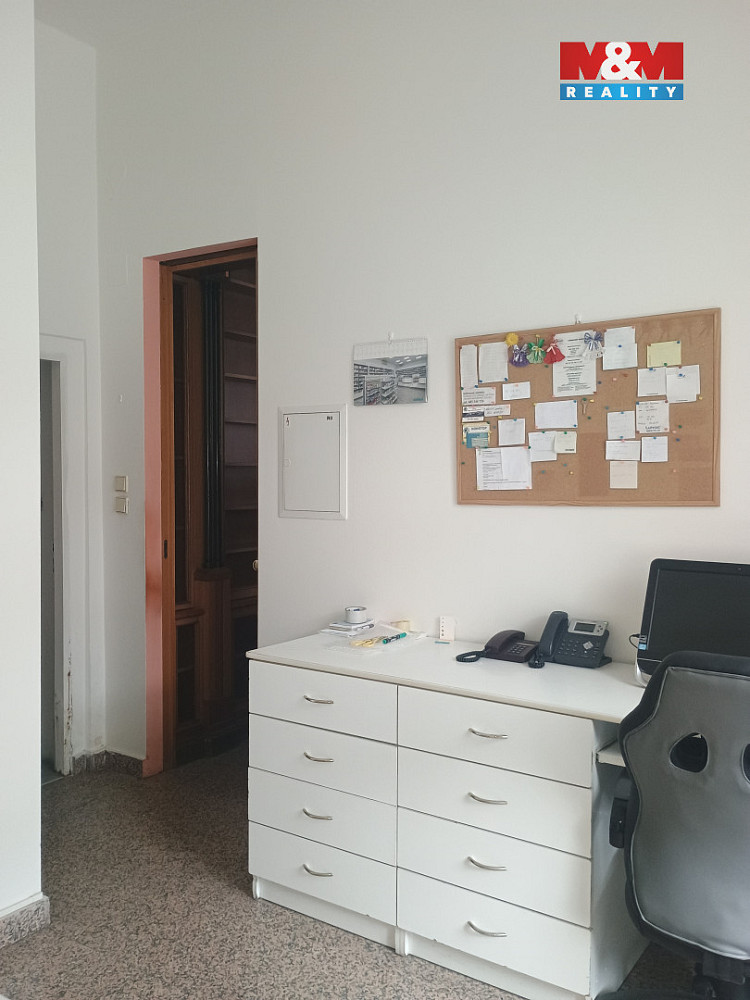 Pronájem obchodních prostor 270 m² — photo 4