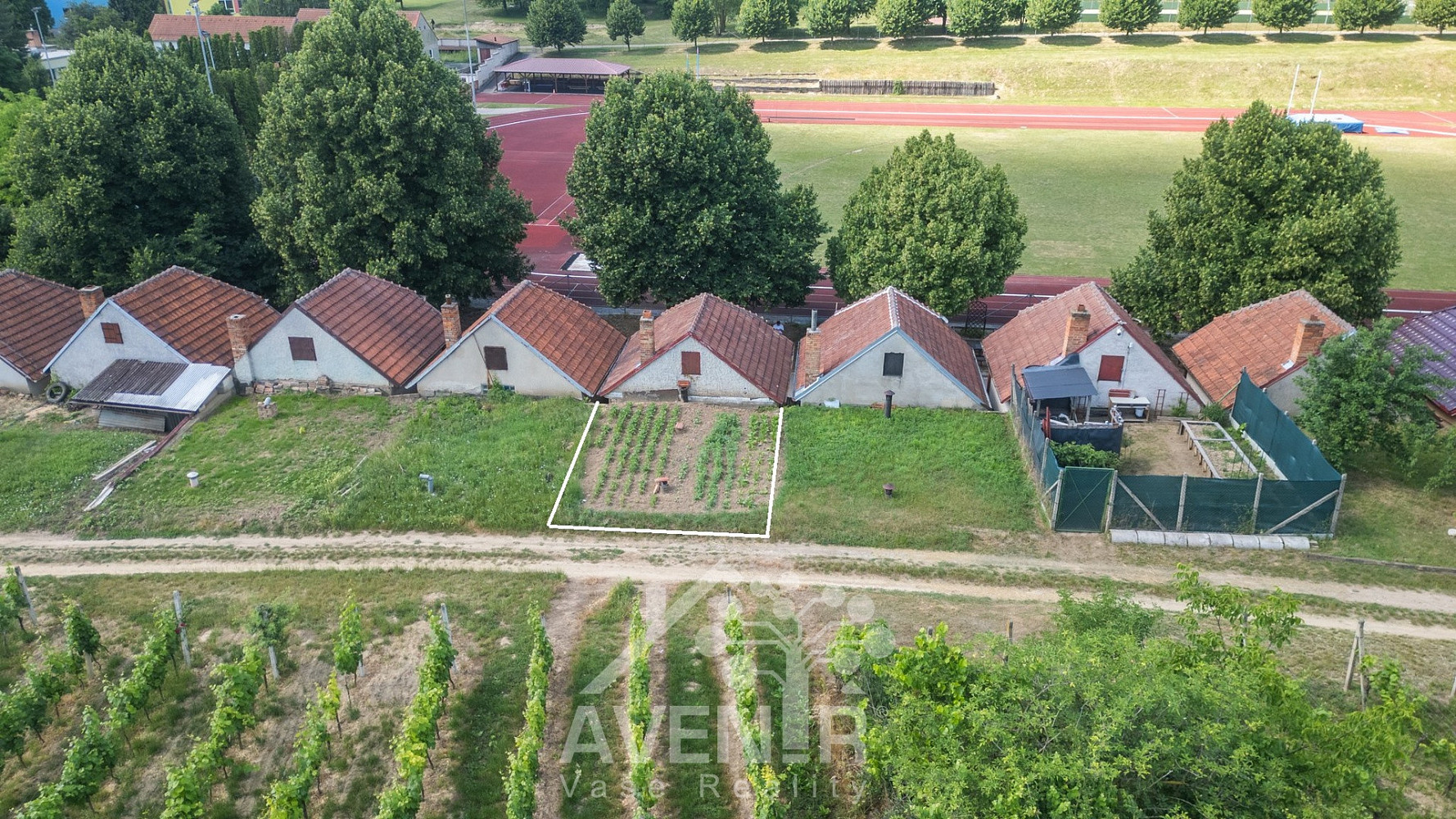 Prodej vinného sklepa 84 m2, čejkovice — photo 2