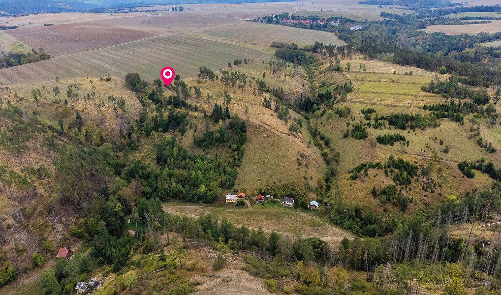 Prodej lesa 15 246 m², Vladislav – náhled fotky 19