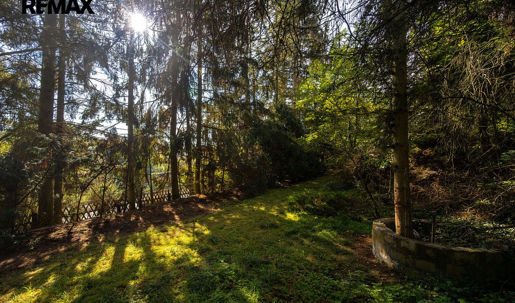 Prodej domu 100 m² s pozemkem 1 708 m², Plzeň – náhled fotky 15