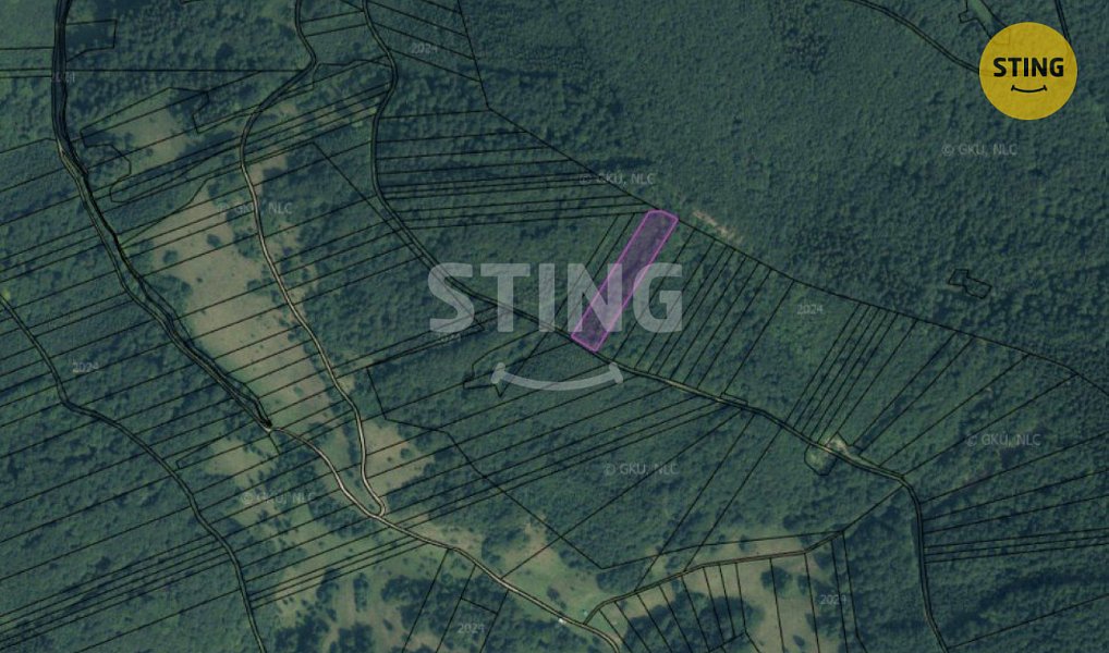 Prodej lesa 19 597 m², Velké Karlovice – náhled fotky 3