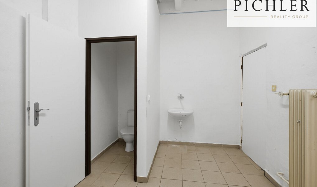 Prodej obchodních prostor 343 m², Oráčov – náhled fotky 8