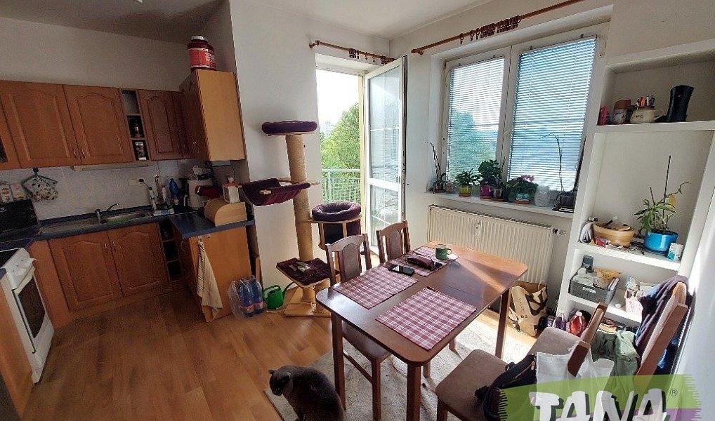 Pronájem bytu 2+kk 46 m², Turnov – náhled fotky 4