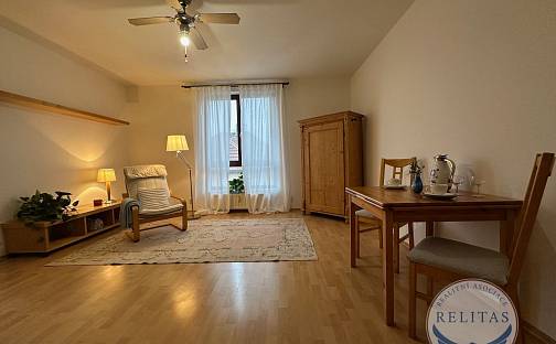 Pronájem bytu 1+kk 31 m², Zimní, Hostivice, okres Praha-západ