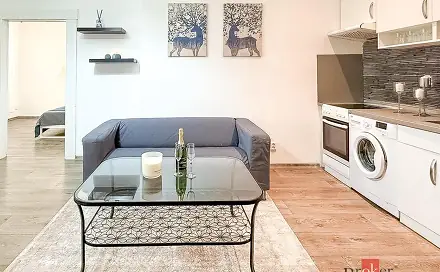 Pronájem bytu 2+1 46 m², Guldenerova, Plzeň - Východní Předměstí