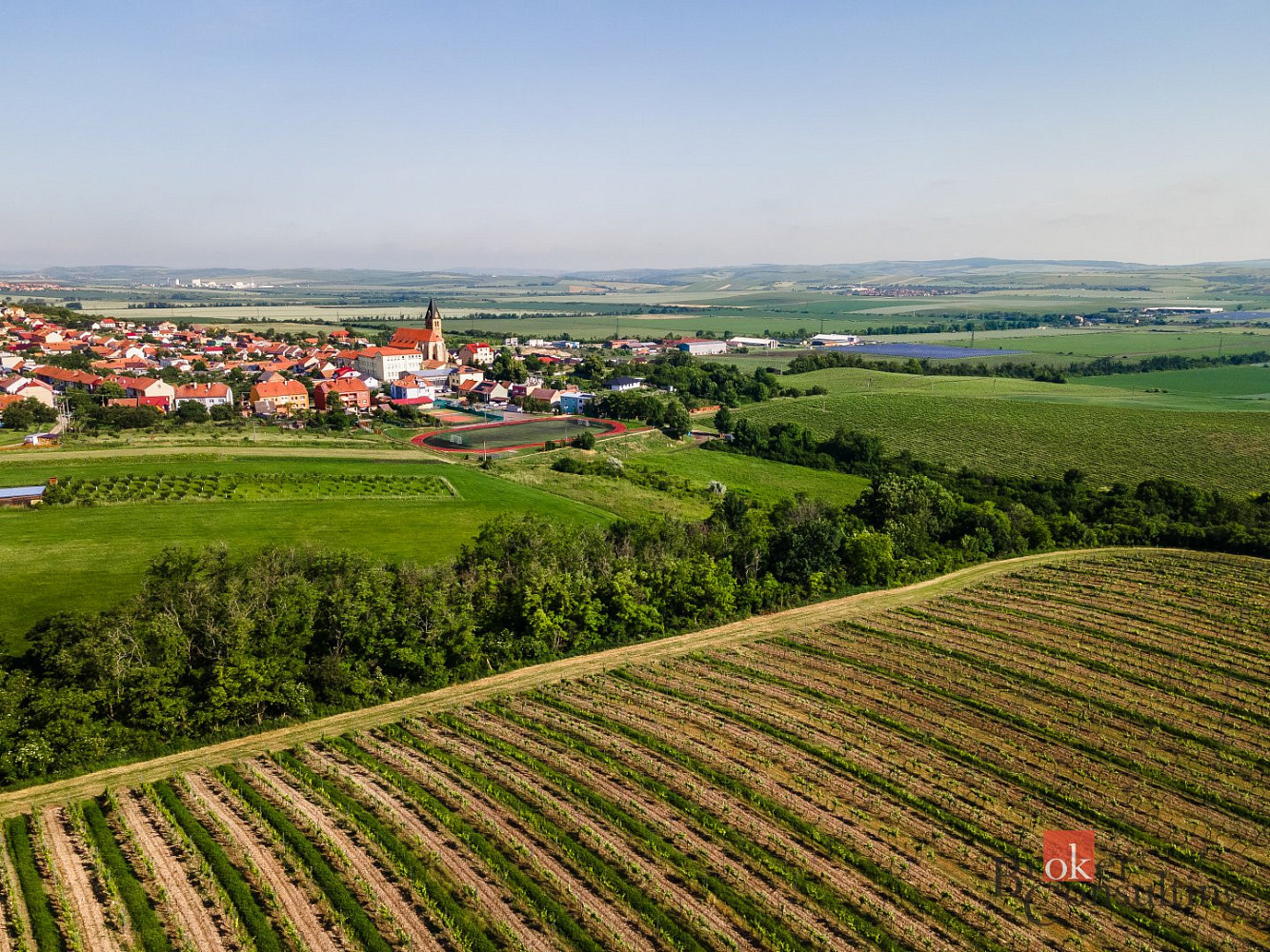 Prodej pozemku 256 256 m² – fotografie 3