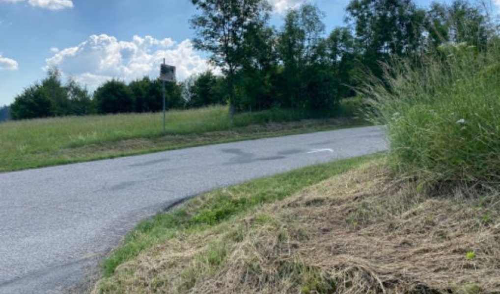 Prodej stavebního pozemku 4 256 m², Sázava – náhled fotky 7