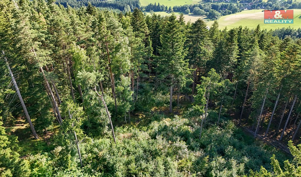 Prodej lesa 15 707 m², Petrovice u Sušice – náhled fotky 25