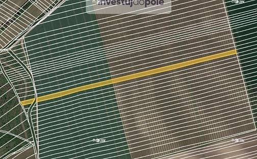 Prodej pole 11 743 m², Čejkovice, okres Hodonín