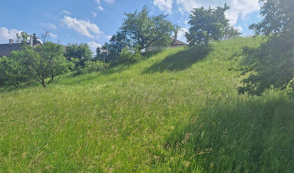 Prodej stavebního pozemku 2 318 m², Malé Svatoňovice – náhled fotky 9