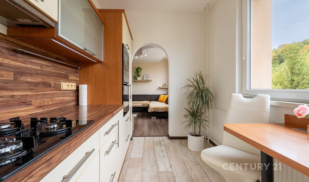 Prodej bytu 3+1 69 m², Třinec – náhled fotky 5
