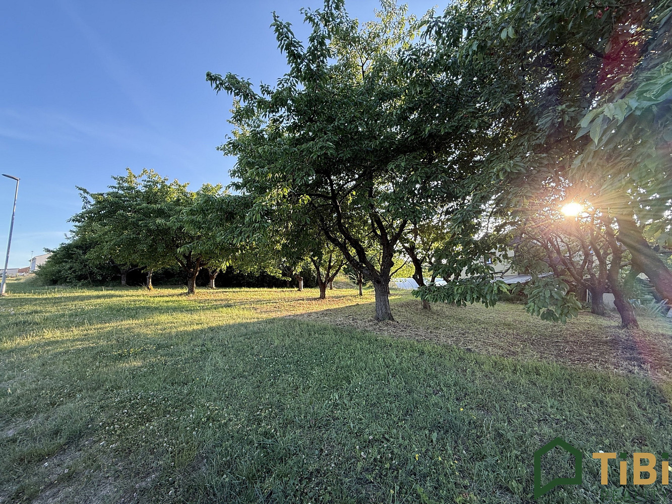 Prodej domu 93 m² s pozemkem 767 m² — photo 4