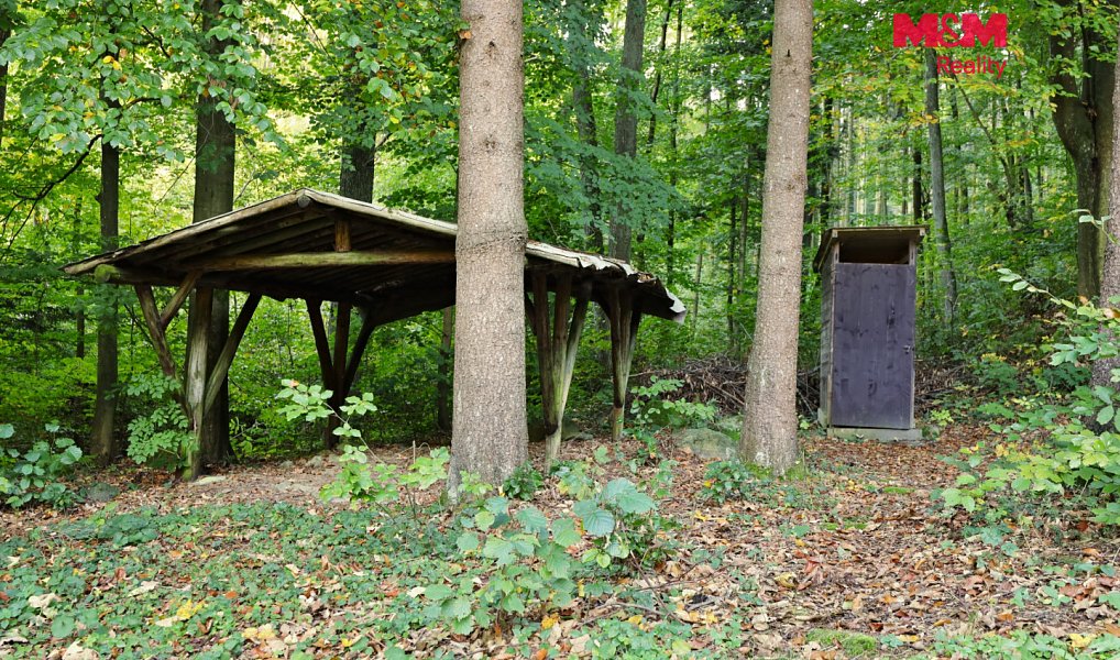 Prodej chaty/chalupy 30 m² s pozemkem 30 m², České Lhotice – náhled fotky 4