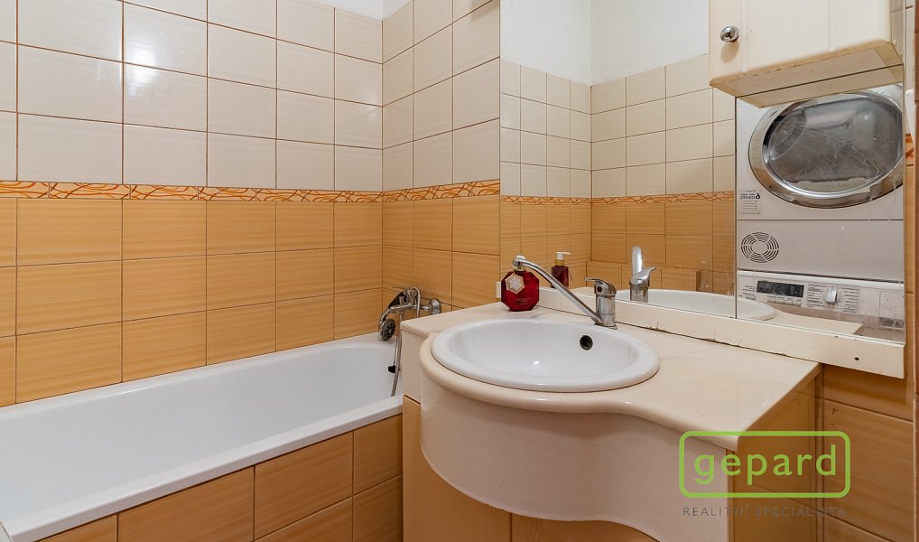 Prodej bytu 2+1 54 m², Ostrov – náhled fotky 4