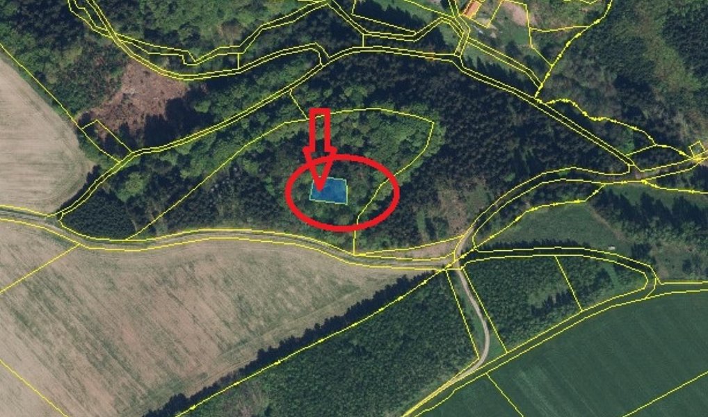 Prodej lesa 5 585 m², Liberk – náhled fotky 16
