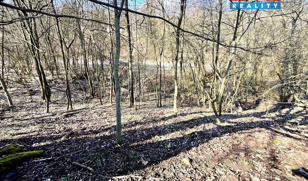 Prodej stavebního pozemku 835 m², Heřmanov – náhled fotky 10