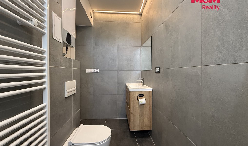 Pronájem bytu 1+kk 60 m², Praha – náhled fotky 6