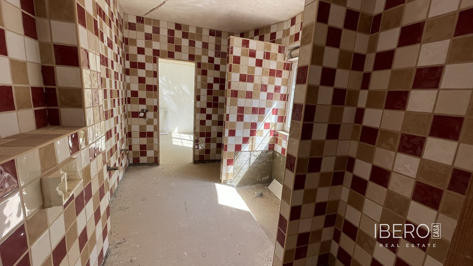 Fotka 5 z 16